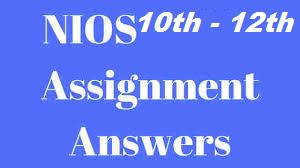 12th assignment nios