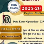 Data Entry 229 Solved Assignment