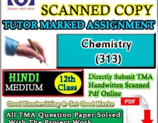 Chemistry 313 Handwritten Scan Copy