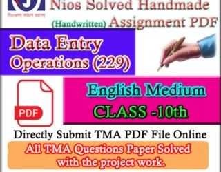 Nios Data Entry 229 Solved Assignment Handwritten