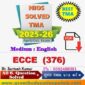 Nios Early Childhood Care And Education (376) Solved Assignment