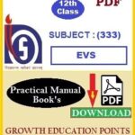 evs practical file free