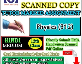 Nios Physics-312 Handwritten Assignment