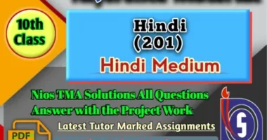 Nios Hindi-201 solved Assignment