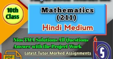 Mathematics-211 Nios solved assignment