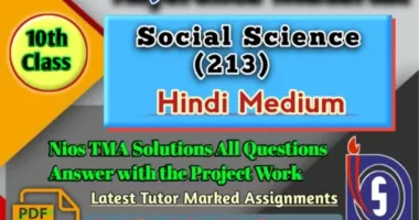 download nios solved assignment 2021-22