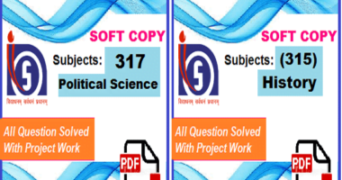 nios solved assignment 2021