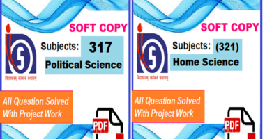 Download nios solved assignment