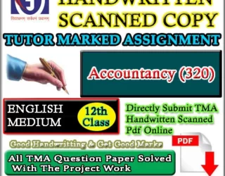 Nios Accountancy 320 Solved Assignment