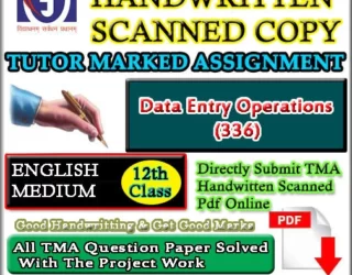 336 Data Entry SOLVED ASSIGNMENT