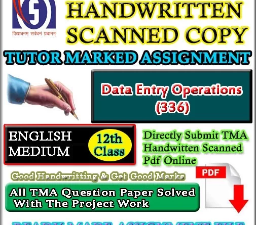 336 Data Entry SOLVED ASSIGNMENT