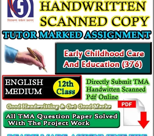 376 Early Childhood SOLVED ASSIGNMENT