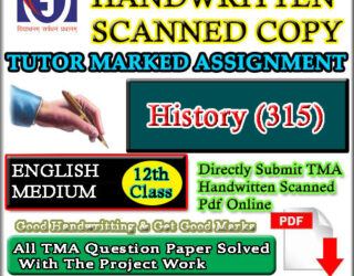 Nios History 315 Solved Assignment