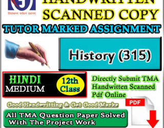 Nios History 315 Solved Assignment