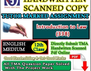 Nios Introduction to Low 338 Solved Assignment