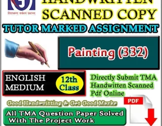 Nios Painting 332 Solved Assignment scanned copy