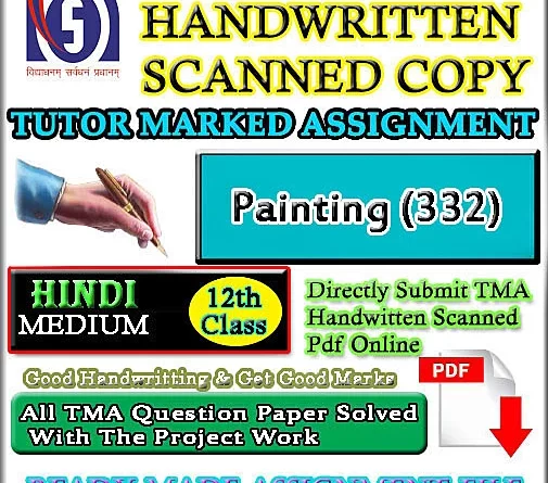 Nios Painting 332 Solved Assignment