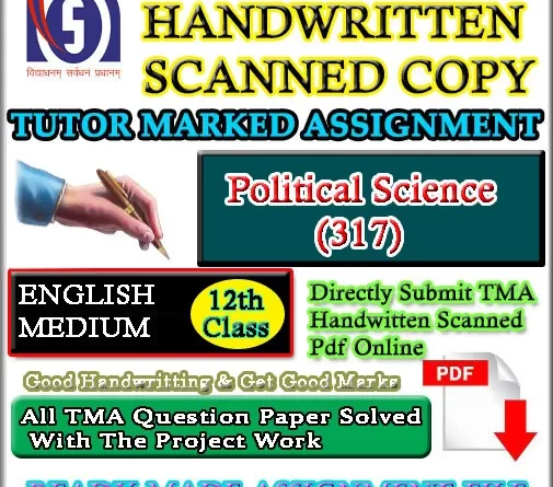 Nios Political Science 317 Solved Assignment