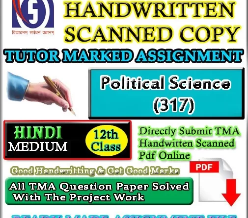 Nios Political Science 317 Solved Assignment